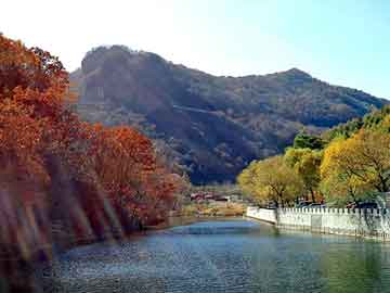 澳門最快四肖八碼期期準(zhǔn)——揭秘精準(zhǔn)預(yù)測的秘密，澳門四肖八碼精準(zhǔn)預(yù)測揭秘，期期準(zhǔn)確預(yù)測的秘密揭曉