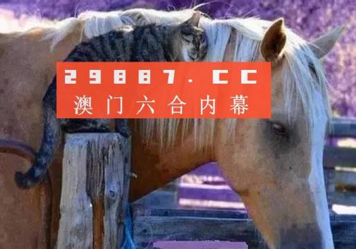澳門一肖一碼一待一中四不像，探索與解析，澳門一肖一碼一待一中四不像，深度解析與探索