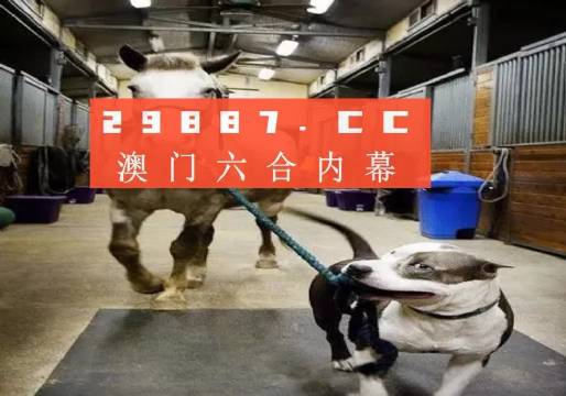 澳門一肖一碼一必中一肖，同舟前進(jìn)的奧秘與策略，澳門一肖一碼必中策略與前進(jìn)奧秘，同舟共濟(jì)的揭秘與策略