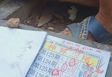 香港中特期期準(zhǔn)資料，深度解析與探索，香港中特期期準(zhǔn)資料深度解析與探索報(bào)告
