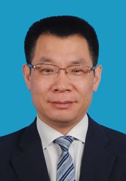 2024新奧正版資料免費(fèi)獲取指南，2024新奧正版資料免費(fèi)獲取攻略