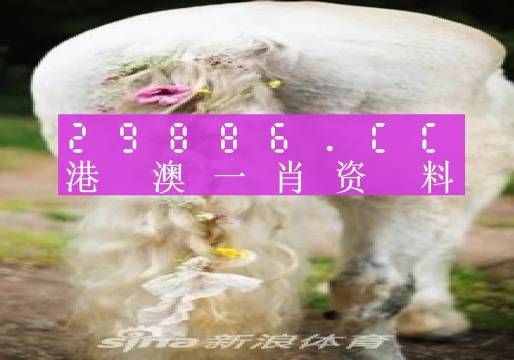 澳門羊了個羊與各大圖庫的資料揭秘，2023年澳門今晚必中一肖一碼永久免費資料庫大解密，澳門羊了個羊與資料庫揭秘，2023年必中一肖一碼永久免費資料大解密