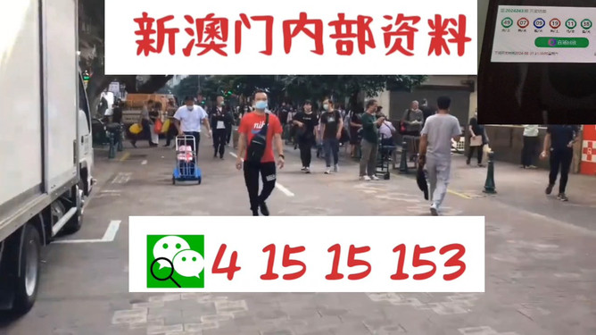 澳門管家婆，揭秘一種獨(dú)特的文化現(xiàn)象與娛樂體驗(yàn)，澳門管家婆，文化現(xiàn)象與娛樂體驗(yàn)的揭秘
