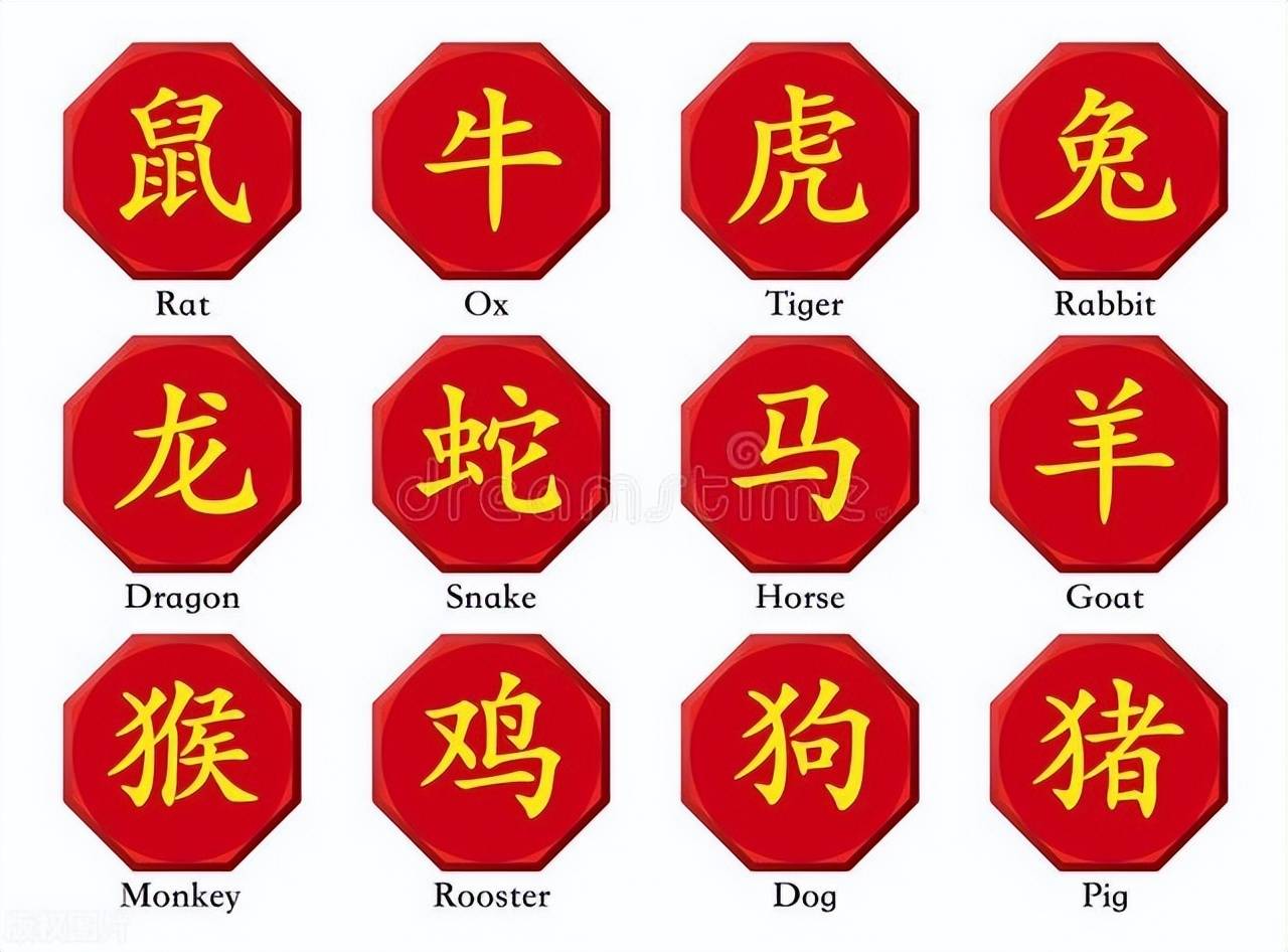 新澳特碼，羊?；⒏鲾?shù)10——揭秘背后的數(shù)字奧秘，揭秘新澳特碼數(shù)字奧秘，羊牛虎各數(shù)背后的秘密