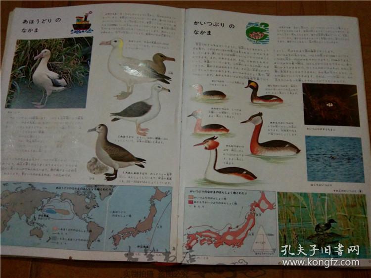 今日正版跑狗圖分享，探索7777788888跑狗圖的魅力，今日正版跑狗圖分享，探索魅力十足的777778跑狗圖