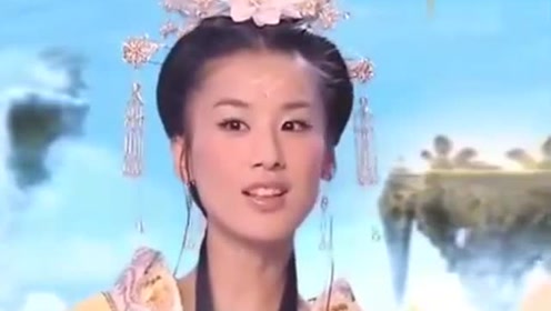 曾道道人資料免費大全，深度探索與解析，曾道道人資料深度解析與免費大全探索