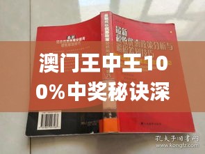 新澳門王中王期期中，探索與解析，新澳門王中王期期中，深度探索與解析