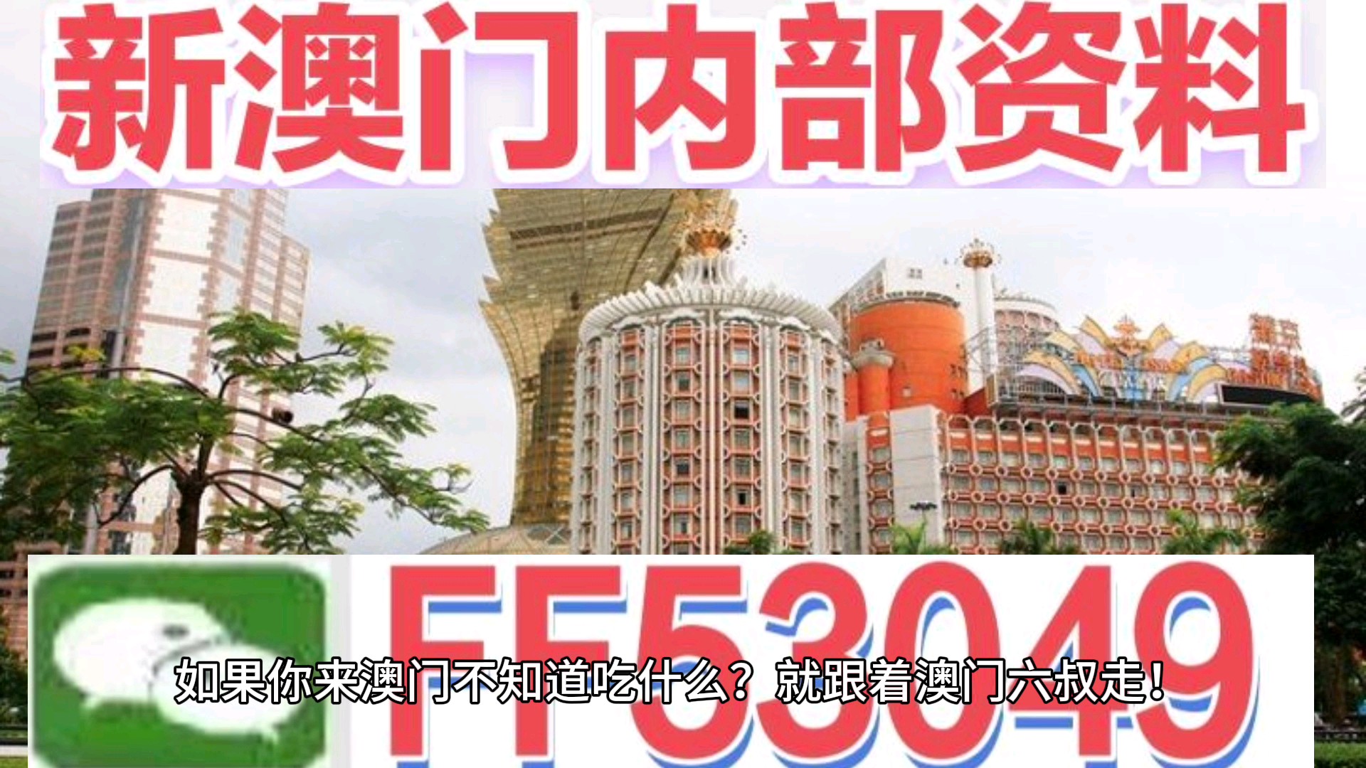 澳門今晚特馬生肖預測，探尋未來的幸運符號（2025年），澳門生肖預測揭秘，探尋未來幸運符號（特馬生肖預測 2025年展望）