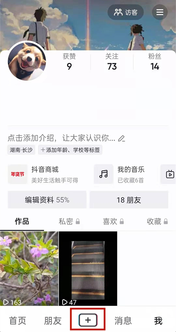 白小姐的精準免費四肖，揭秘背后的秘密，揭秘白小姐精準免費四肖背后的秘密
