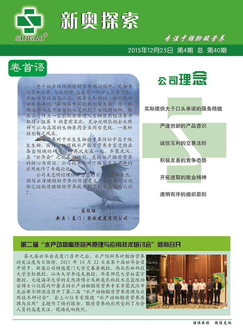 2025新澳正版資料查詢指南，2025新澳正版資料查詢手冊(cè)
