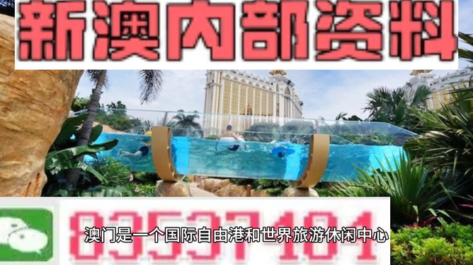新澳的資料去哪里找——全面指南，新澳資料全攻略，尋找資料的途徑與指南