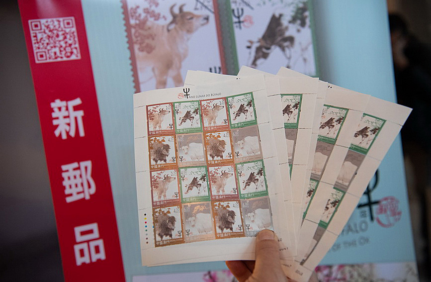澳門值日生肖600圖庫與八百圖庫開獎，探索生肖圖庫的魅力與奧秘，澳門生肖圖庫開獎揭秘，探索值日生肖600圖庫與八百圖庫的魅力與奧秘