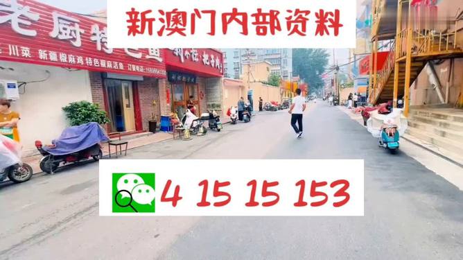 探索未來(lái)，新澳門(mén)天天開(kāi)好彩的2025展望，未來(lái)展望，新澳門(mén)2025年天天彩彩紛呈的探索之路