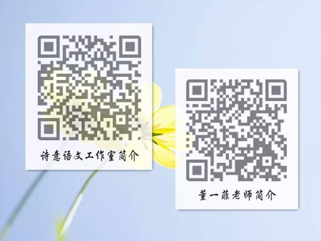 一碼一肖一特一，揭秘背后的秘密與獨(dú)特之處，揭秘一碼一肖一特一的獨(dú)特之處與背后秘密