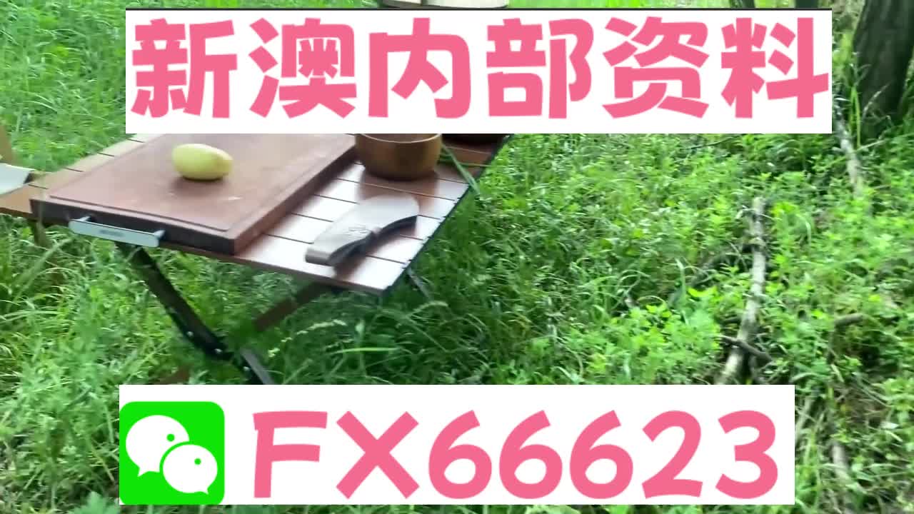新奧特碼走勢(shì)圖解析與預(yù)測(cè)，新奧特碼走勢(shì)圖解析與預(yù)測(cè)，未來趨勢(shì)探討