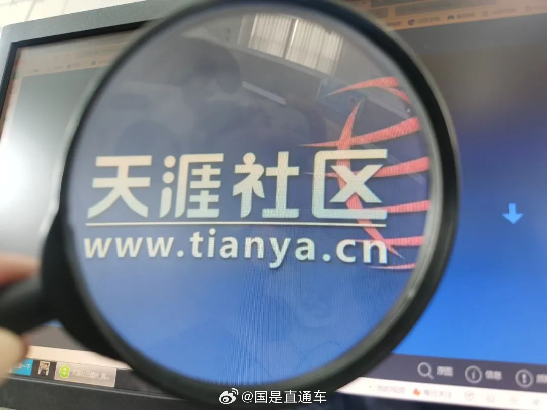 天涯國際觀察，全球視野下的深度分析與洞察，全球深度洞察，天涯國際觀察分析