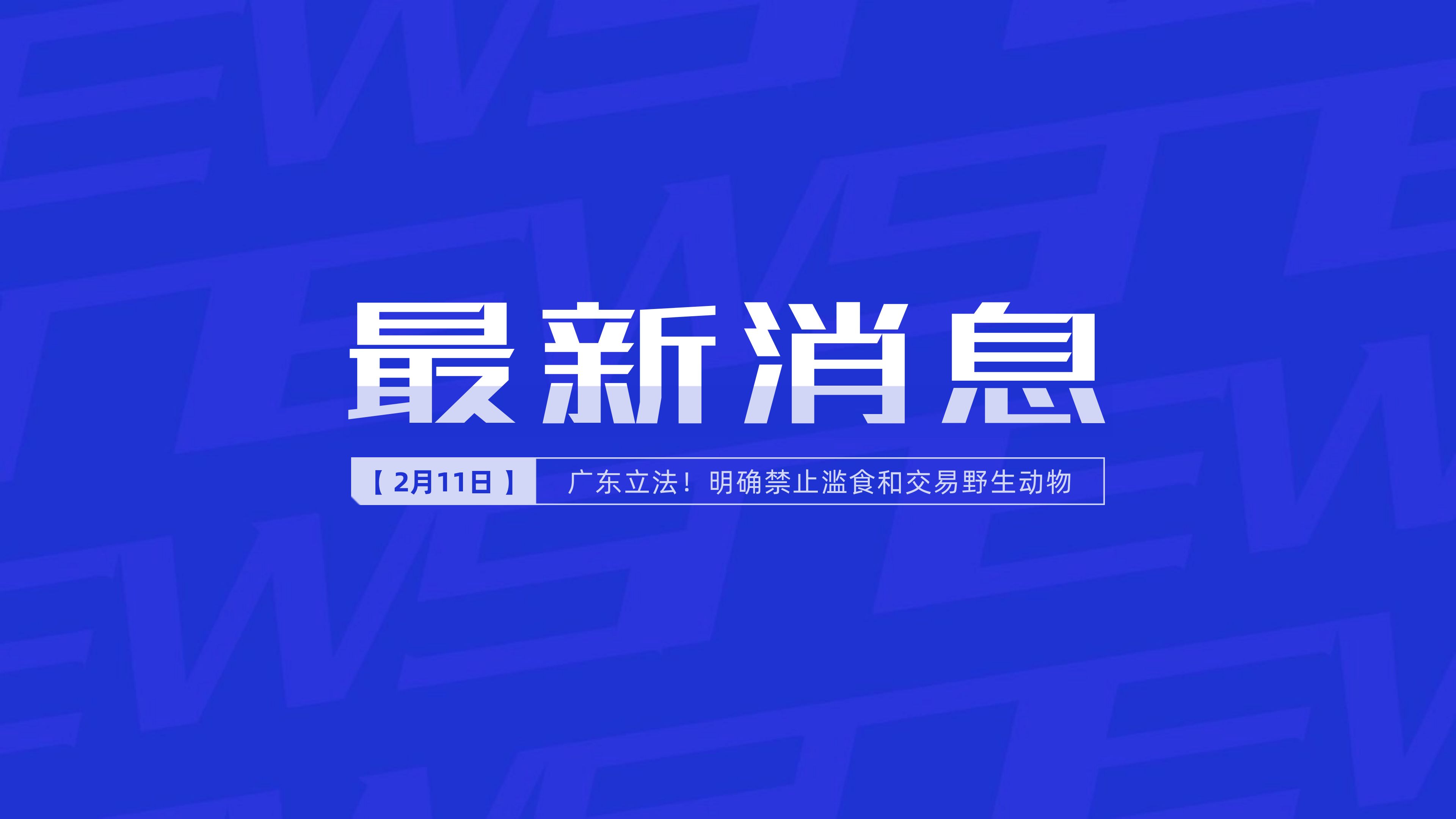 新聞最新新聞，掌握時(shí)事熱點(diǎn)，洞悉世界動態(tài)，時(shí)事熱點(diǎn)速遞，掌握全球最新動態(tài)新聞
