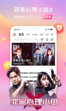 搜狐視頻，引領(lǐng)在線視頻新時代的先鋒力量，搜狐視頻，在線視頻新時代的先鋒領(lǐng)航者