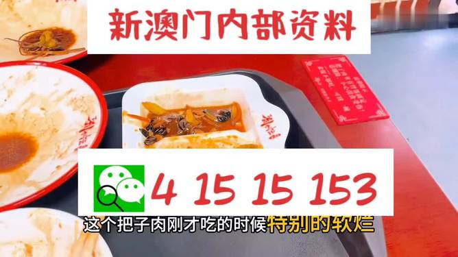 澳門王中王六碼新澳門，探索與解析，澳門王中王六碼新澳門，深度探索與解析