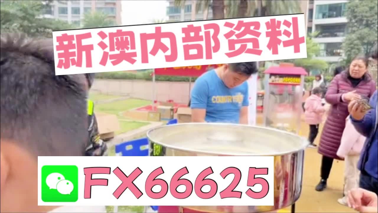 澳門乾坤寶典與最新資料大全，探索未來的奧秘（2025新澳資料大全），澳門乾坤寶典與最新資料大全，探索未來奧秘（2025新澳資訊總匯）