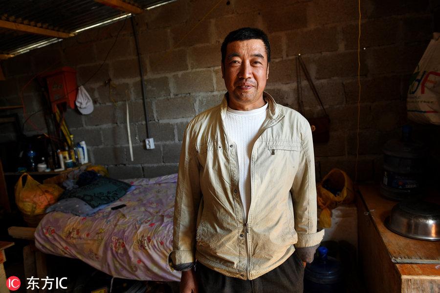 博科圣地組織，深度解析與理解，博科圣地組織深度解析與探究