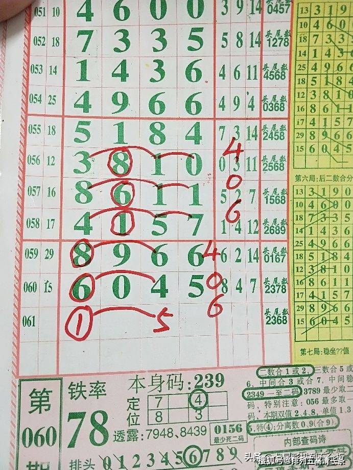 平特肖推算法，探索搜索引擎優(yōu)化的新境界，平特肖推算法，開啟搜索引擎優(yōu)化新境界的探索之旅