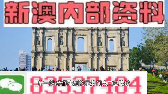 澳門最精準正最精準龍門，探索與揭秘，澳門最精準龍門探索揭秘之旅