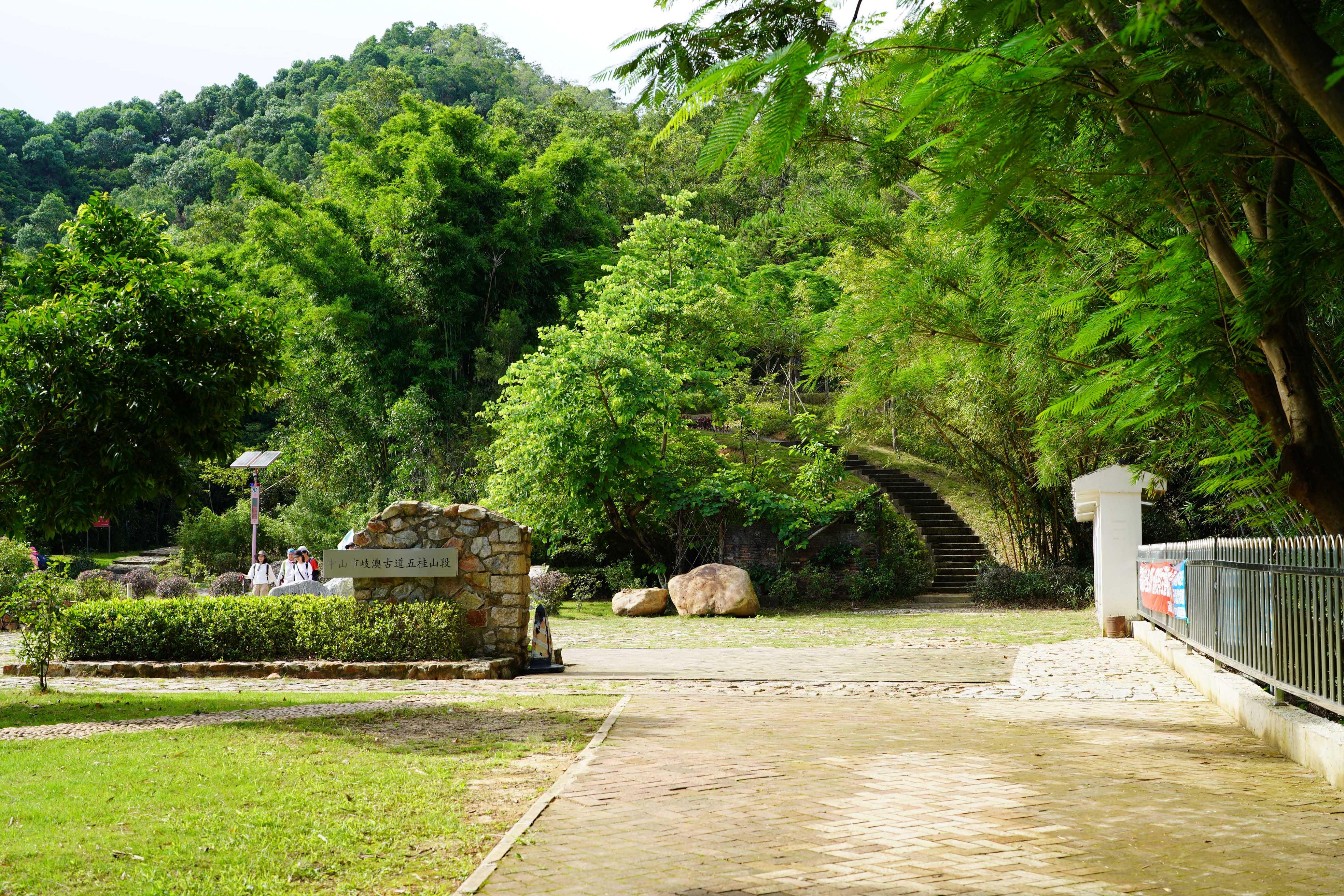 新澳門波色走勢圖表大全，深度解析與預(yù)測，澳門波色走勢圖表解析與預(yù)測大全