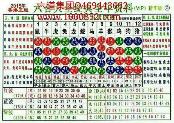揭秘2024十二生肖49碼表——完整指南，揭秘十二生肖49碼表全攻略，2024年最新版指南