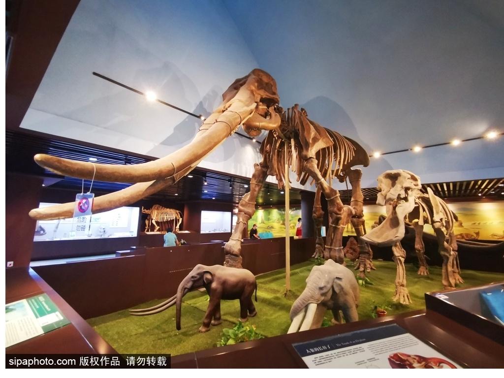 北京必去的十大博物館——探尋千年文化的精華之旅，北京必游十大博物館，千年文化精華之旅探尋記
