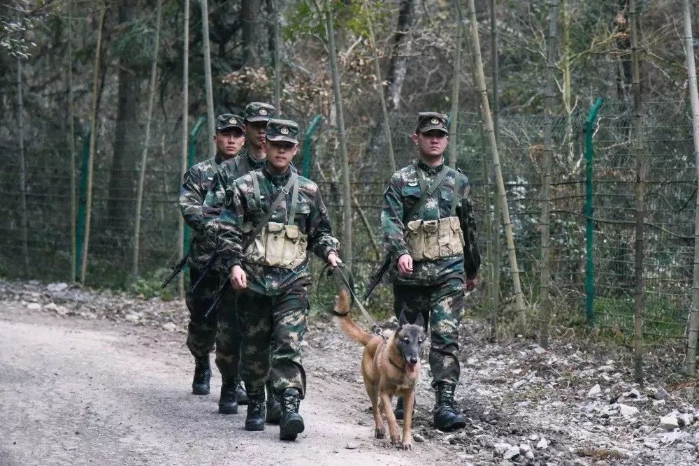 火箭軍是否都在大山之中？解析火箭軍的駐扎環(huán)境與任務特點，火箭軍的駐扎環(huán)境與任務特點解析，大山之中還是多元布局？