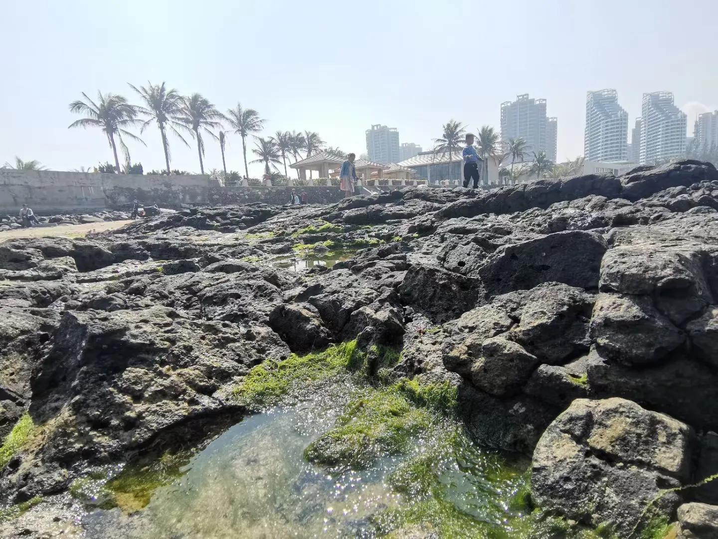 解放海南島電視劇全集下載，探尋30集完整劇情，解放海南島電視劇全集下載，探尋完整的30集劇情探索