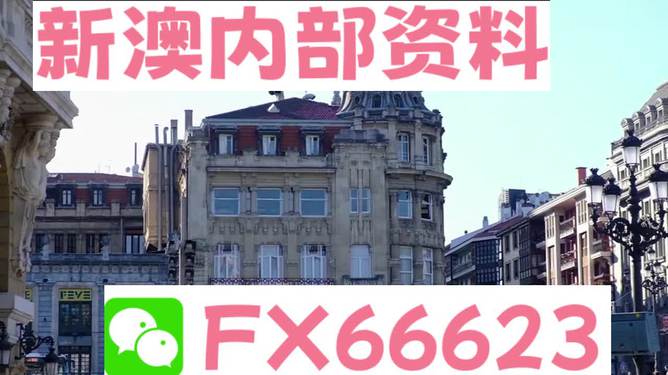 澳門六資料大全，深度探索與揭秘，澳門六資料大全，深度探索與揭秘之旅