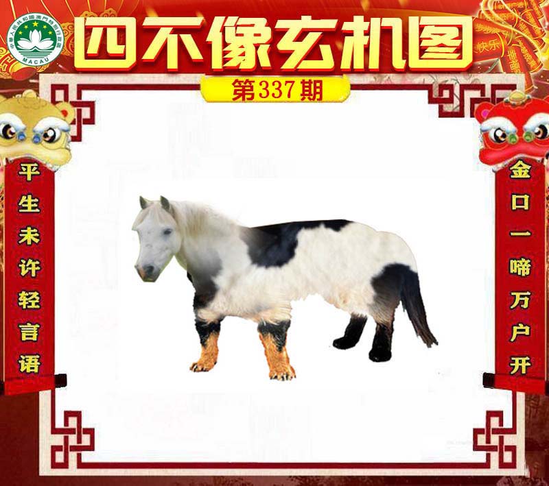 王中王四不像肖一肖中特，探索神秘現(xiàn)象背后的真相，神秘現(xiàn)象背后的真相探索，王中王四不像肖一肖中特揭秘