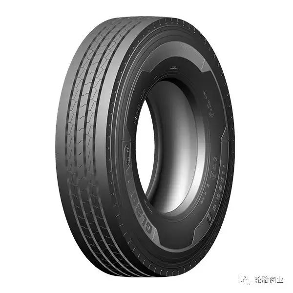 王中王295期指一生肖，揭秘生肖運勢與預測背后的秘密，揭秘生肖運勢預測，王中王295期生肖運勢背后的秘密探索