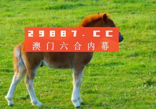 澳門答家婆一肖一馬一中一特，揭秘背后的秘密與獨特文化魅力，澳門文化魅力深度解析，答家婆一肖一馬一中一特的獨特傳統(tǒng)與秘密