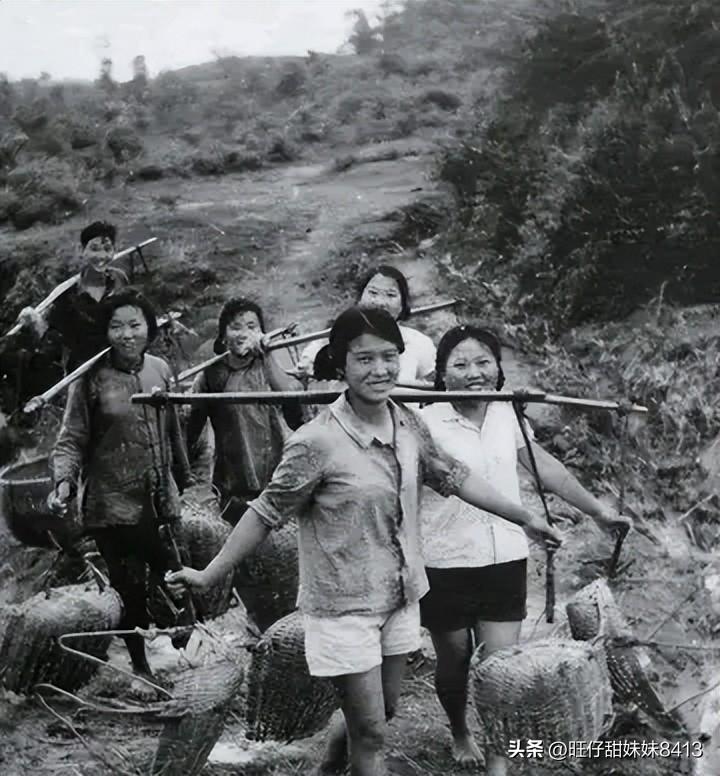 關(guān)于49圖庫圖片資料的專業(yè)解析與探索，49圖庫圖片資料深度解析與探索