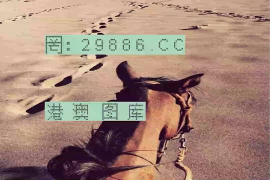香港特馬資料王中王24期，深度解析與探索，香港特馬資料王中王深度解析與探索，第24期探索之旅