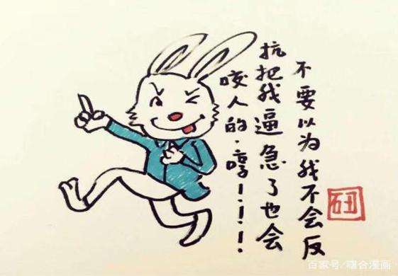 一肖不中賠多少倍，深度解析與策略建議，一肖不中賠倍深度解析及策略建議
