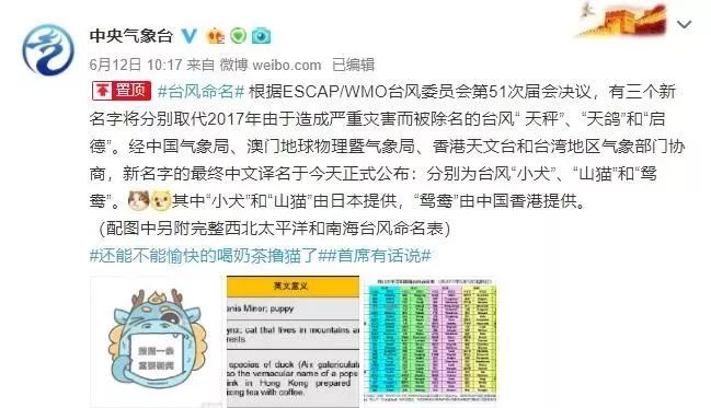 新澳門必中三肖三碼三期必開劉伯，揭秘彩票背后的秘密與策略，揭秘彩票背后的秘密與策略，劉伯的新澳門三期必開三肖三碼預(yù)測(cè)技巧