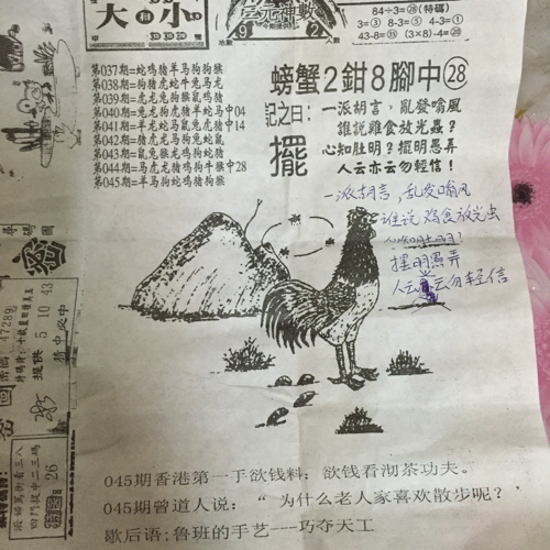 揭秘林中的高手王中王猜一肖的奧秘，揭秘林中之王王中王與生肖奧秘探秘