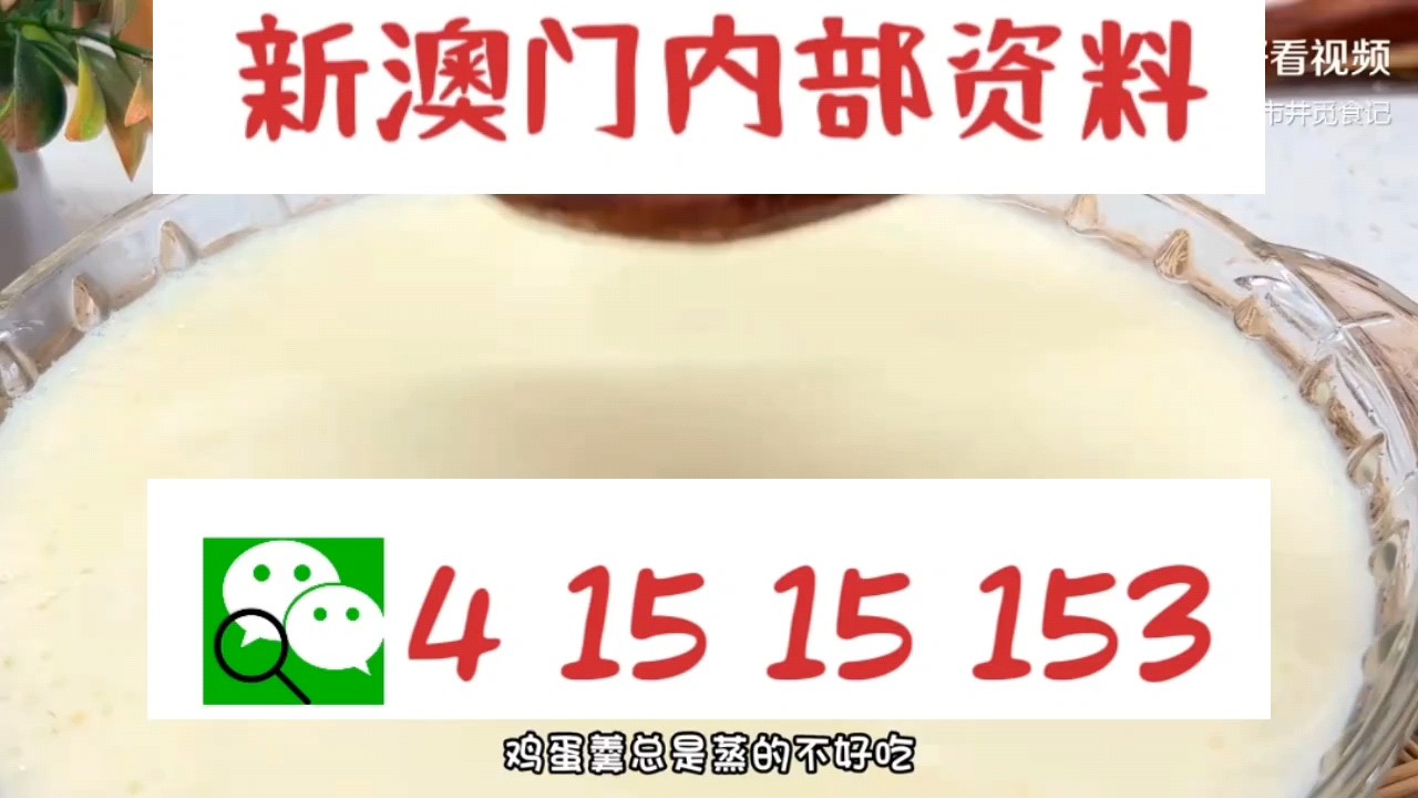 最快新澳門開獎直播，實時掌握開獎信息，體驗極速互動，新澳門實時開獎直播，極速掌握開獎信息，互動體驗盡在指尖