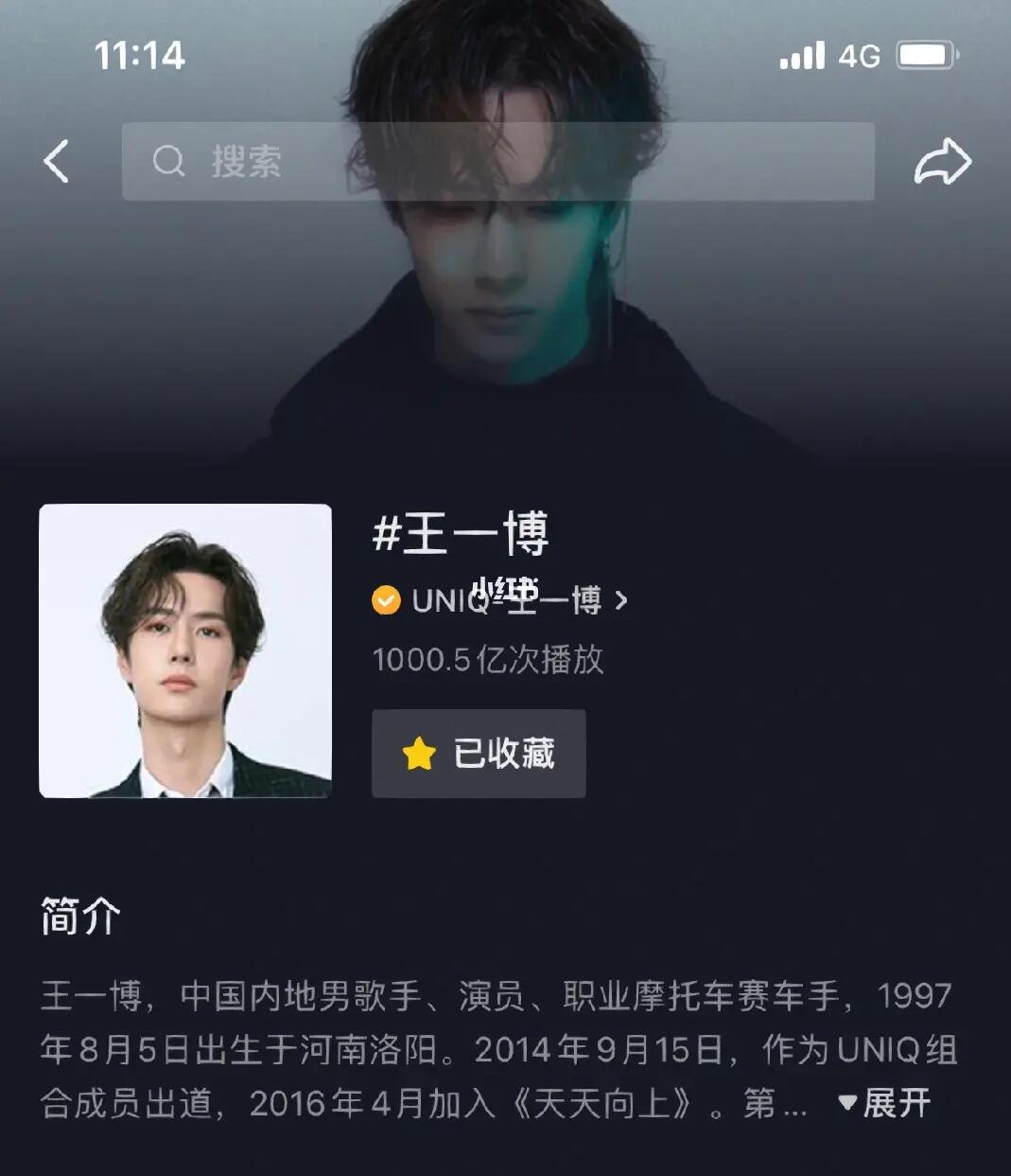王中王一肖內(nèi)部資料詳解，王中王一肖內(nèi)部資料深度解析