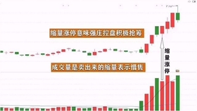 王中王一肖平碼，揭秘背后的故事與SEO策略，王中王一肖平碼背后的故事與SEO策略揭秘