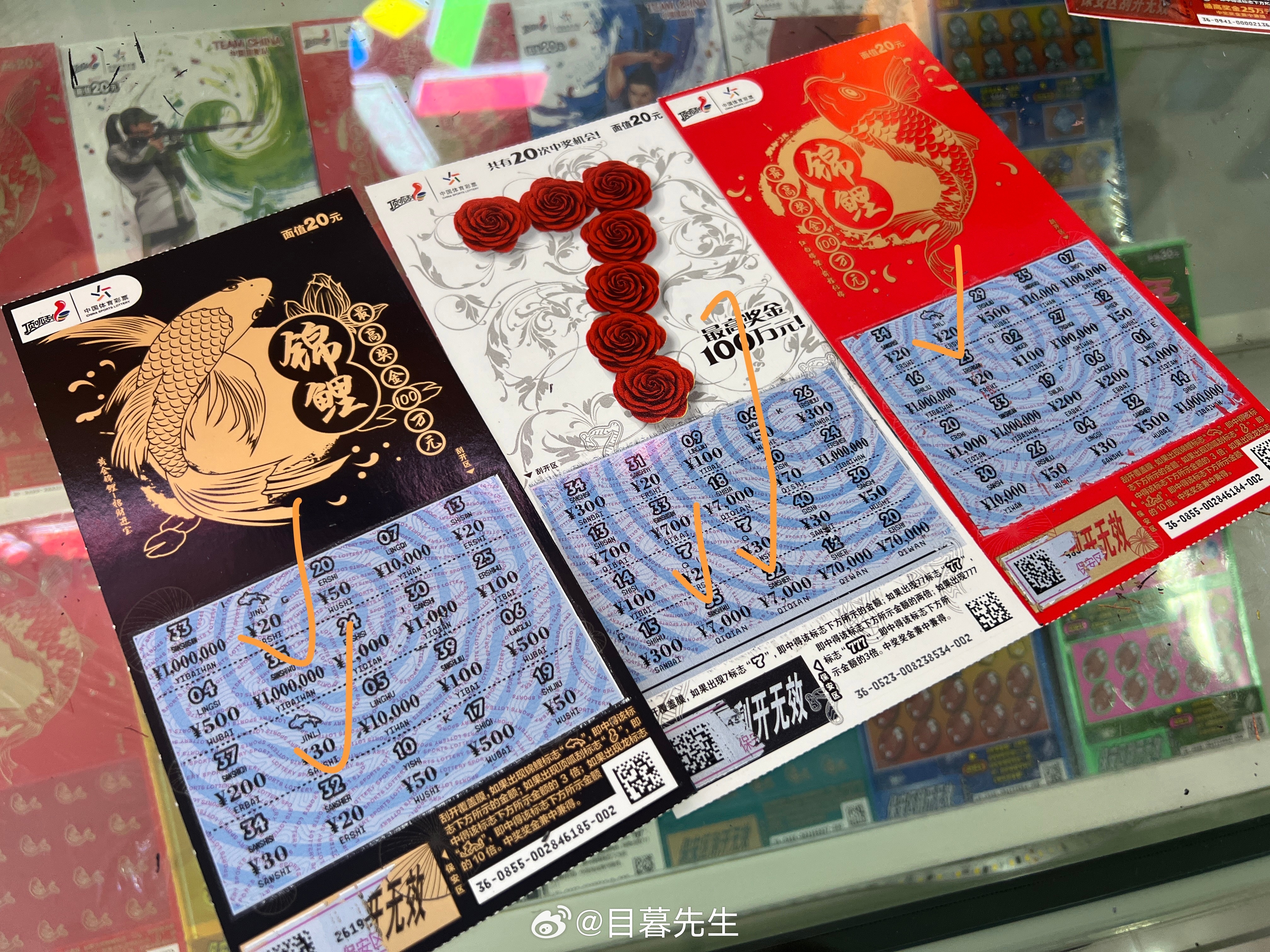 全年王中王一肖中特，深度解析與預(yù)測(cè)，全年王中王一肖深度解析與預(yù)測(cè)，揭秘特肖趨勢(shì)