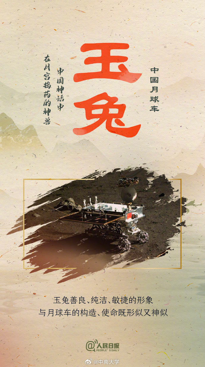 揭秘王中王平特一肖免會公開的奧秘，王中王平特一肖免公開揭秘奧秘