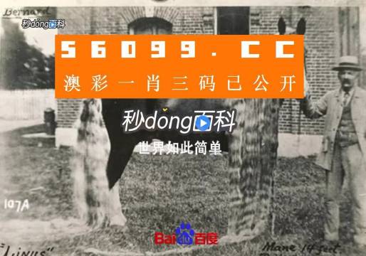 澳門(mén)王中王心水王中王，探索與解析，澳門(mén)王中王心水奧秘，深度探索與解析