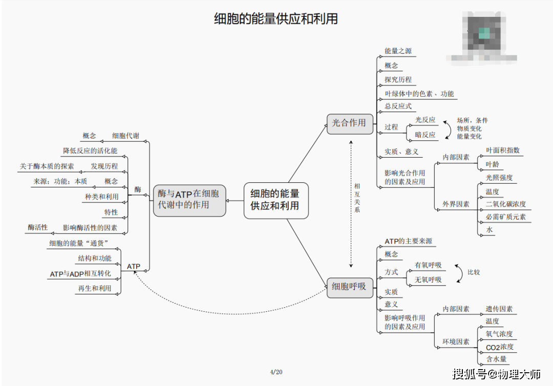 揭秘劉伯溫四肖三期內(nèi)必出一，神秘預(yù)言背后的真相，劉伯溫四肖三期預(yù)言真相揭秘，神秘預(yù)言背后的必然與偶然