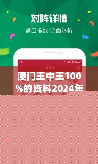 王中王網(wǎng)站一肖，探索與SEO優(yōu)化策略，王中王網(wǎng)站一肖，深度探索與SEO優(yōu)化策略實(shí)踐