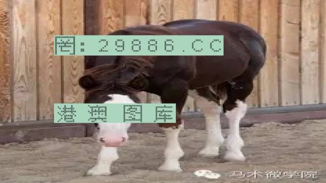 揭秘446999一肖中特馬之秘密，掌握中獎玄機！，揭秘特馬中獎玄機，446999一肖中的秘密大揭秘！